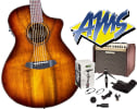 Breedlove Pursuit Exotic S Concert CE Tigers Eye Acoustic, Fishman Loudbox Mini Acoustic Guitar Amplifier & Shure MV88+ Video Kit