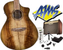 Breedlove Pursuit Exotic S Concert Sweetgrass Acoustic, Fishman Loudbox Mini Amp & Shure MV88 Video Kit