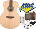 Breedlove Discovery S Concert ECO Series Acoustic, Fishman Loudbox Mini Acoustic Guitar Amp, & Shure MV88 VIDEO KIT USB Mic Bundle