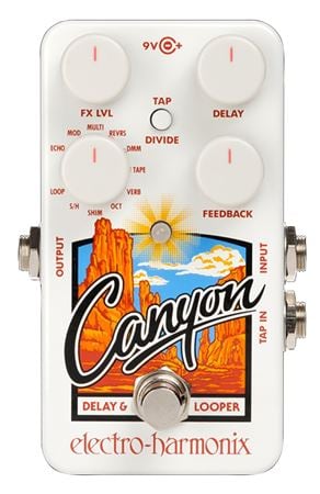 Electro Harmonix Canyon Delay and Looper Pedal Front View