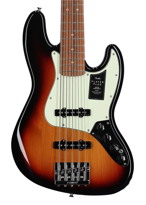 Fender Player Plus Jazz Bass V 5-String Pau Ferro with Bag Front View