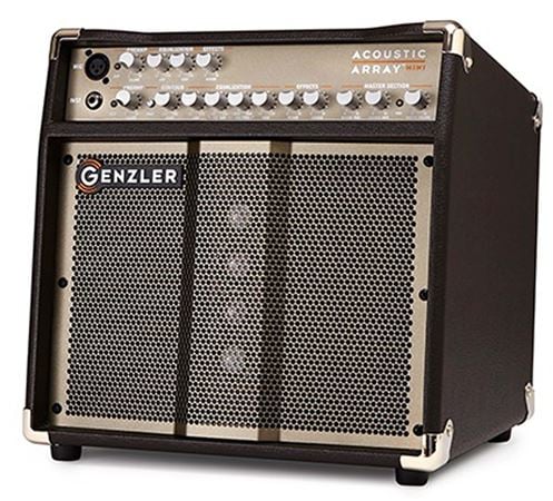 Genzler Acoustic Array MINI Combo 1x8 100 Watts Front View