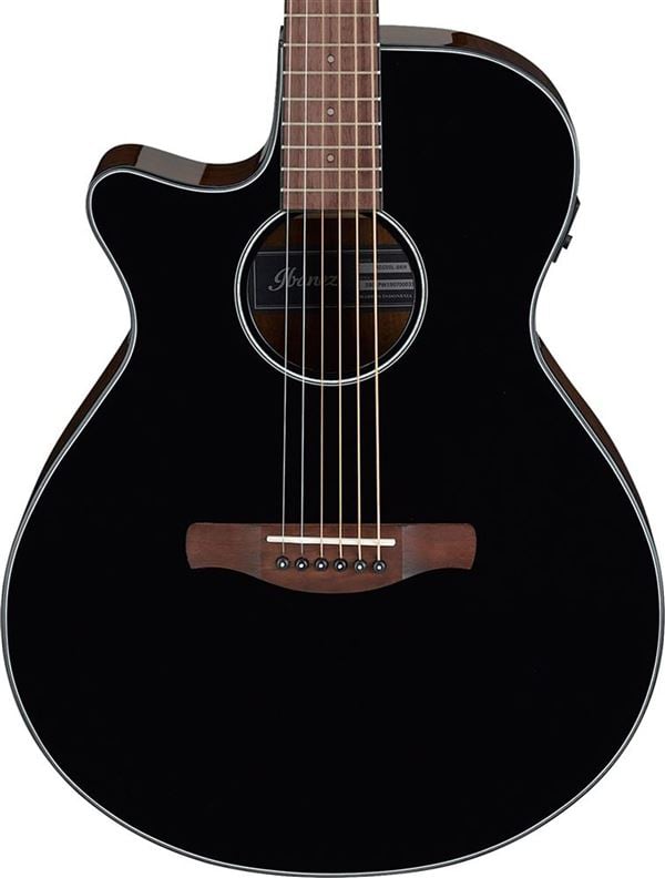 Ibanez AEG50L Left Handed Acoustic Electric Guitar Body Angled View