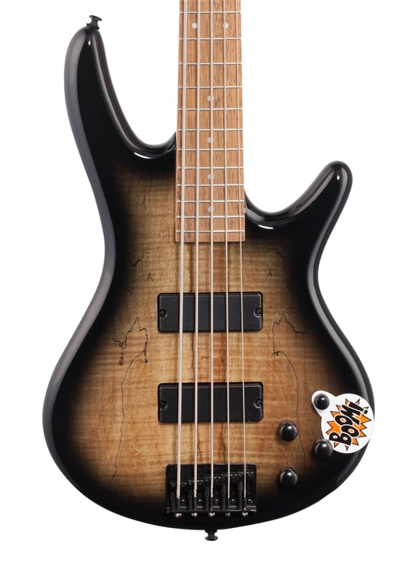 Ibanez GSR205SM Gio 5 String Bass Front View