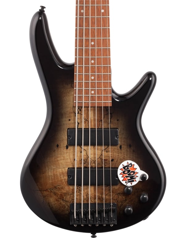 Ibanez GSR206SM 6 String Bass Front View