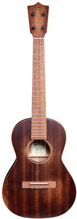 Martin T1 StreetMaster Ukulele with Gig Bag Front View