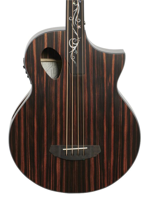 Michael Kelly Dragonfly 4 Port Fretless Acoustic Electric Bass Guitar Body Angled View