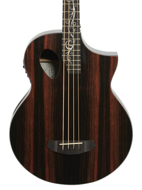 Michael Kelly Dragonfly 4 Port Acoustic Electric Bass Guitar Front View