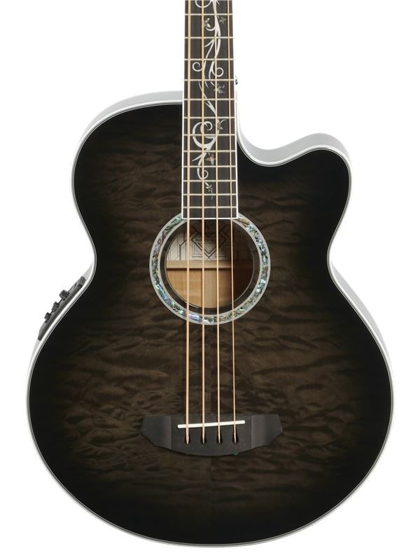 Michael Kelly Dragonfly 4 Acoustic Electric Bass Guitar Front View