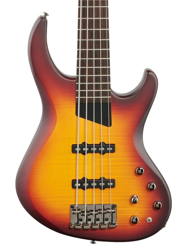 MTD Kingston Saratoga Deluxe 5 Laurel Neck 5-String Bass Guitar Body View