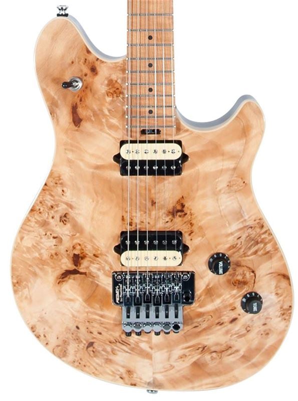 Peavey HP2 Poplar Burl RM Electric Guitar with Case Body View