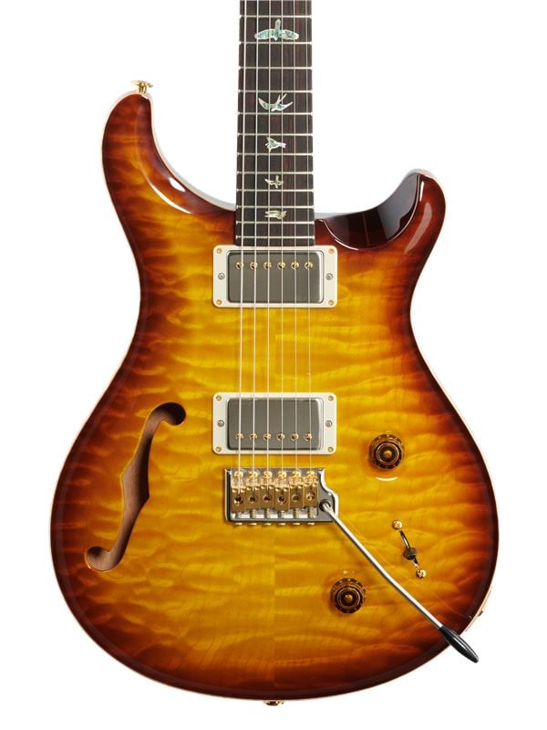 PRS Wood Library Custom 22 Semi-Hollowbody with Cocobolo Fingerboard Body View