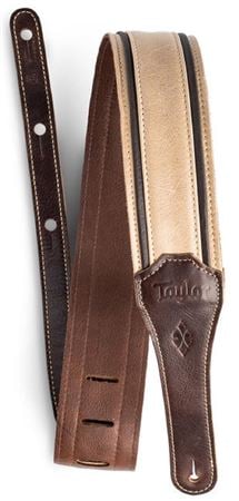Taylor Reflections 2.5" Leather Strap Spruce Ebony Front View