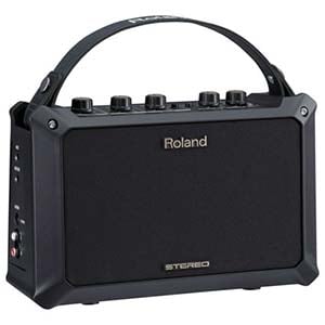 Roland Mobile AC Acoustic Chorus Battery Powered Guitar Amplifier