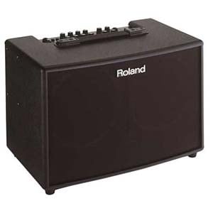Roland AC90 Acoustic Guitar Amplifier