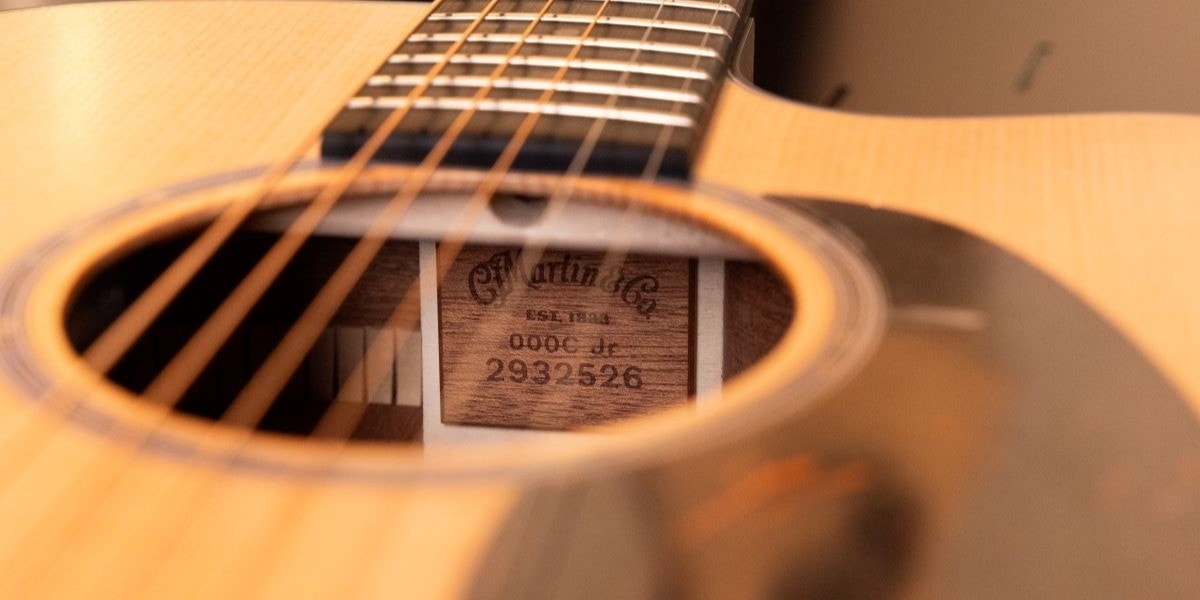 Top 10 Martin Guitars