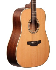 Takamine GD20 Dreadnought Acoustic Guitar