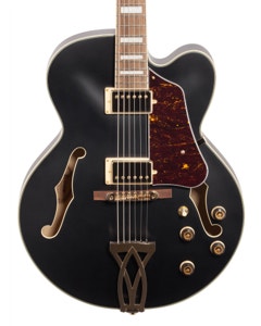 Ibanez Artcore AF75G Hollowbody Guitar