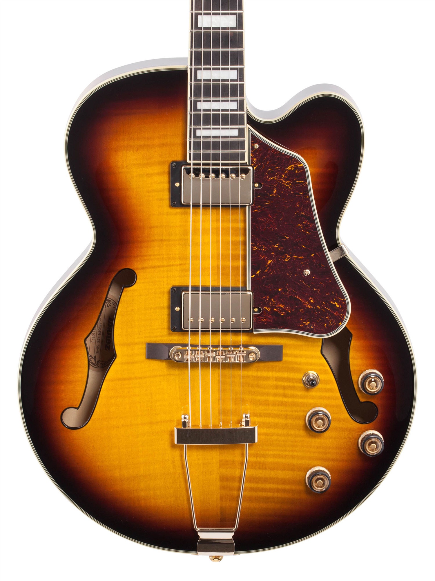 Ibanez Artcore Expressionist AF95FM Hollowbody Electric Guitar