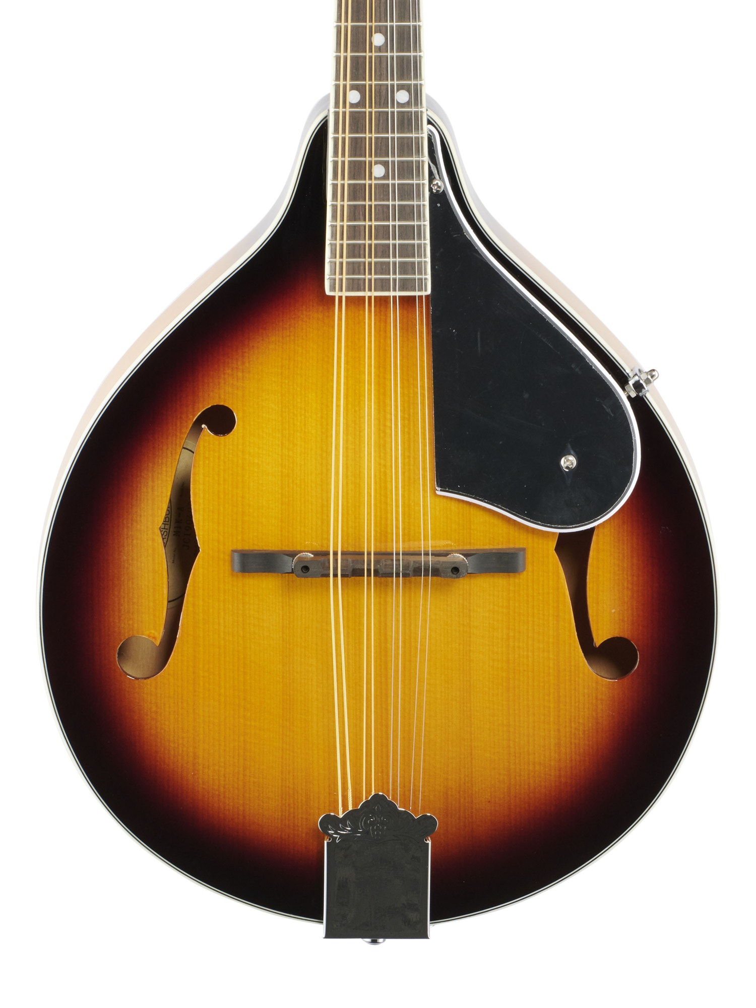 Washburn M1 Mandolin Pack with Gigbag
