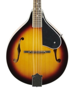 Washburn M1 Mandolin Pack with Gigbag