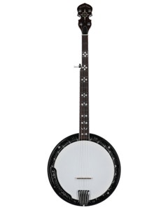 Gold Tone BG-150F Bluegrass Banjo with Flange and Gigbag
