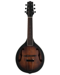 Gold Tone A-6 Acoustic Electric Mando-Guitar with Gigbag