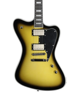 ESP LTD Sparrowhawk Electric Guitar with Case