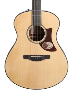 Ibanez Advanced Acoustic AAM50 Guitar