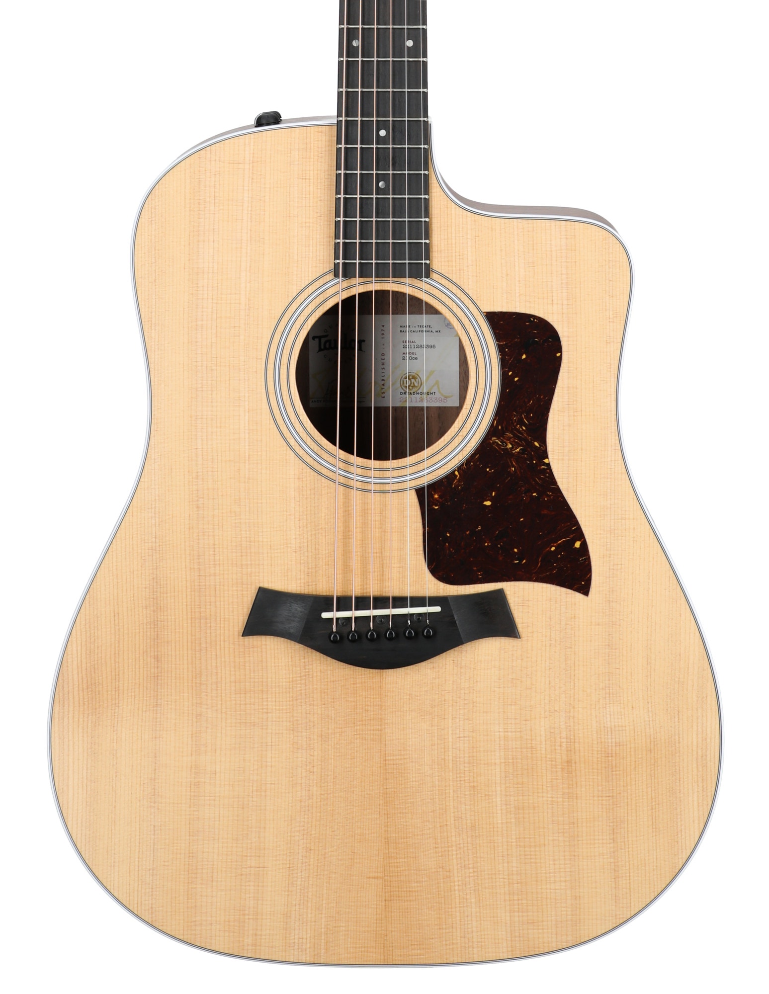 Taylor 210ce Dreadnought Acoustic Electric Guitar with Gigbag