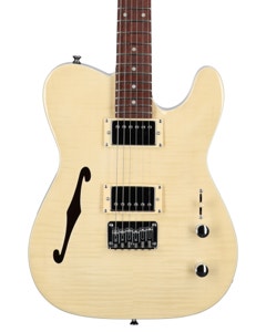 Michael Kelly 58 Thinline Electric Flame Maple