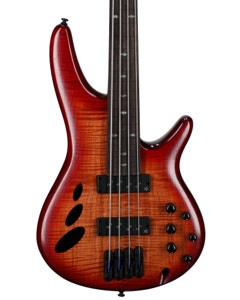 Ibanez Bass Workshop SRD900F Fretless Bass Brown Topaz Burst View 2