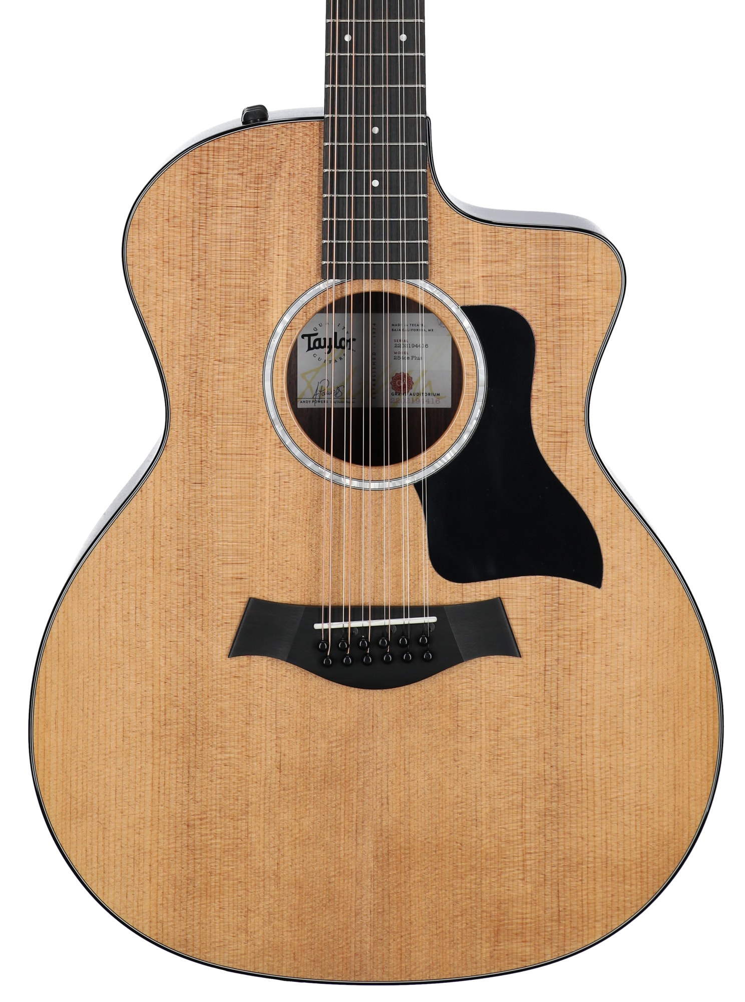 Taylor 254ce Plus 12 String Grand Auditorium AE Guitar with Case