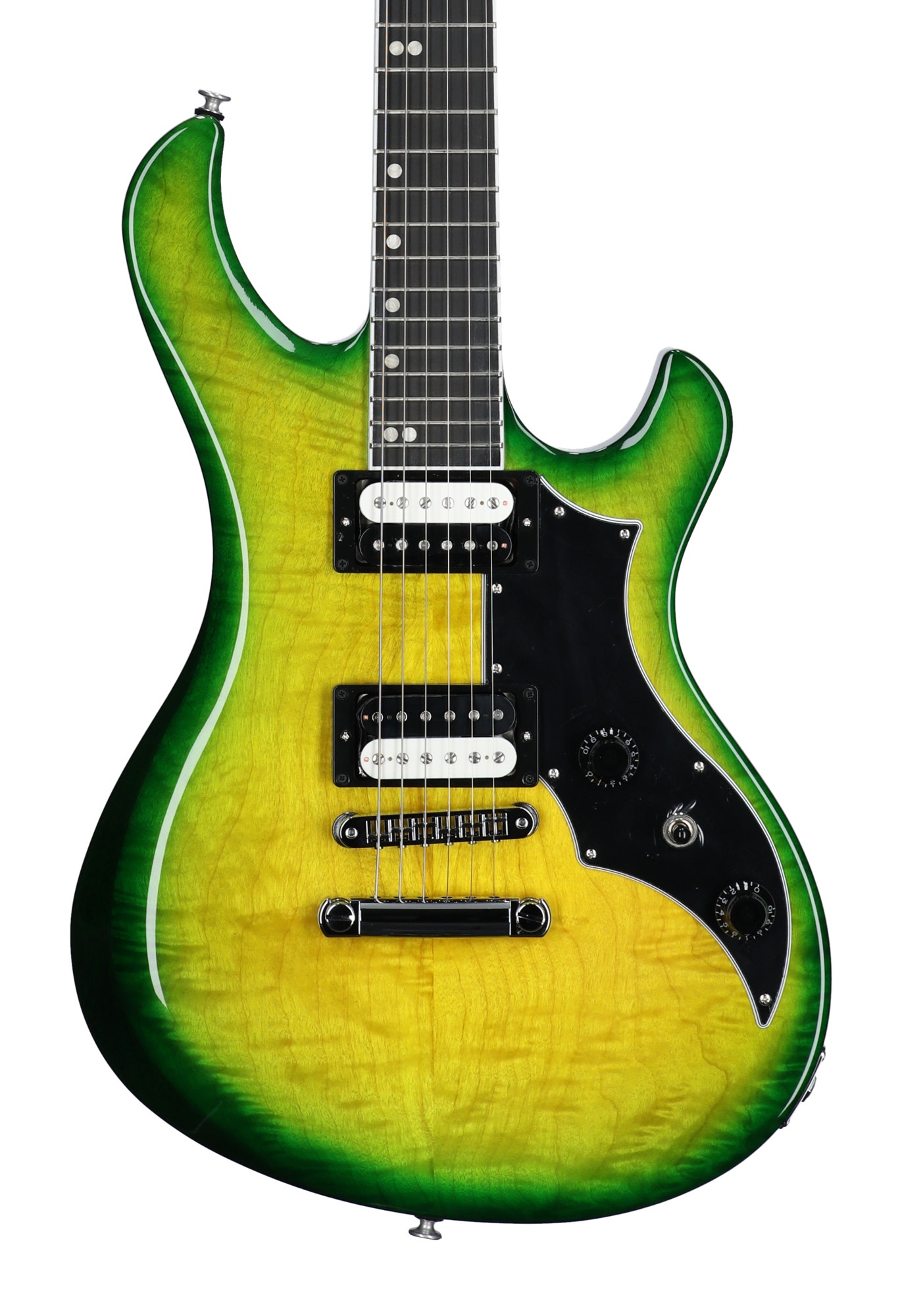 Gibson Victory Figured Top Iguana Burst with Case View 2