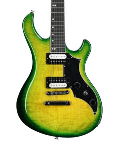 Gibson Victory Figured Top Iguana Burst with Case View 2