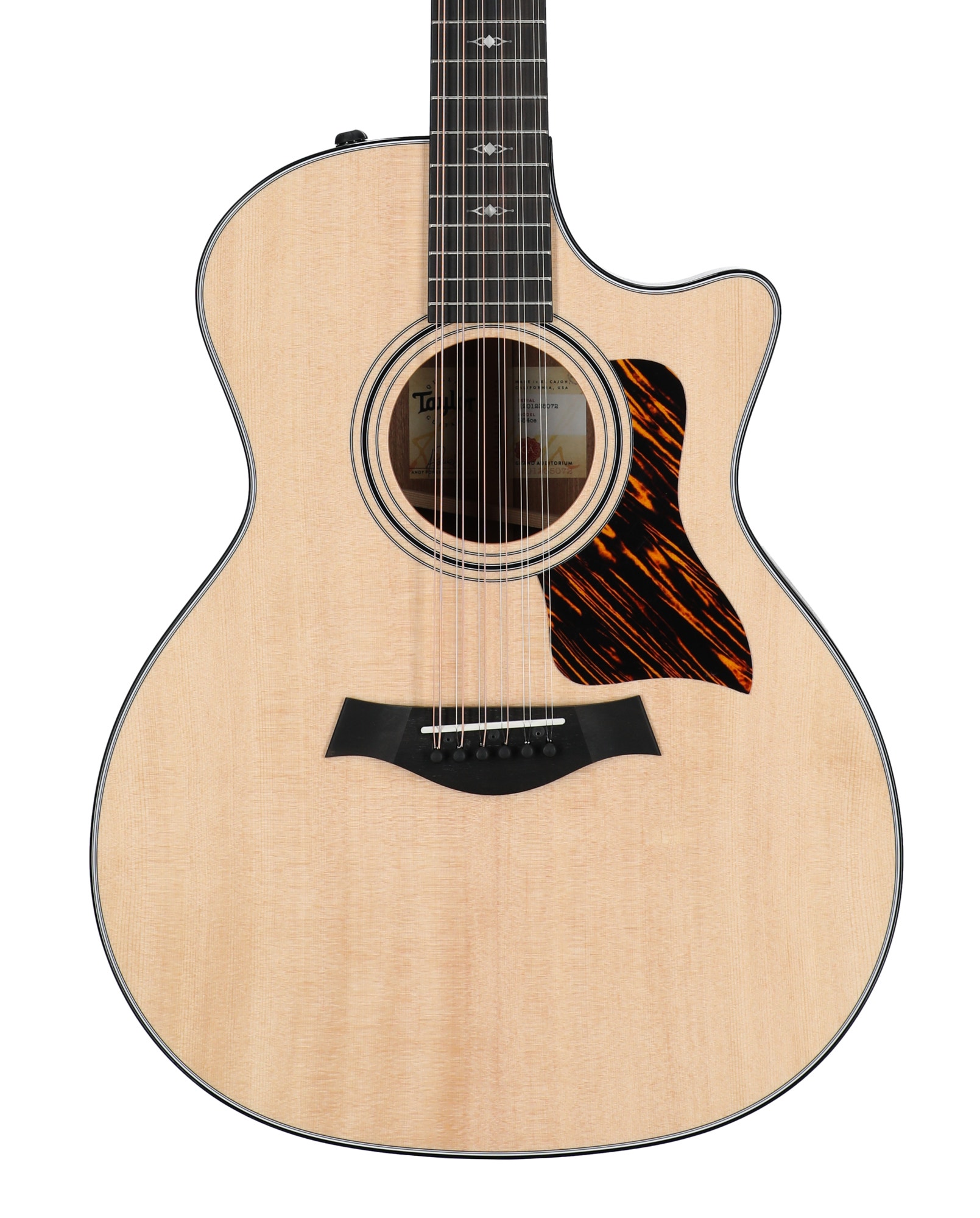 Taylor 354ce 12-String Acoustic Electric Guitar View 2