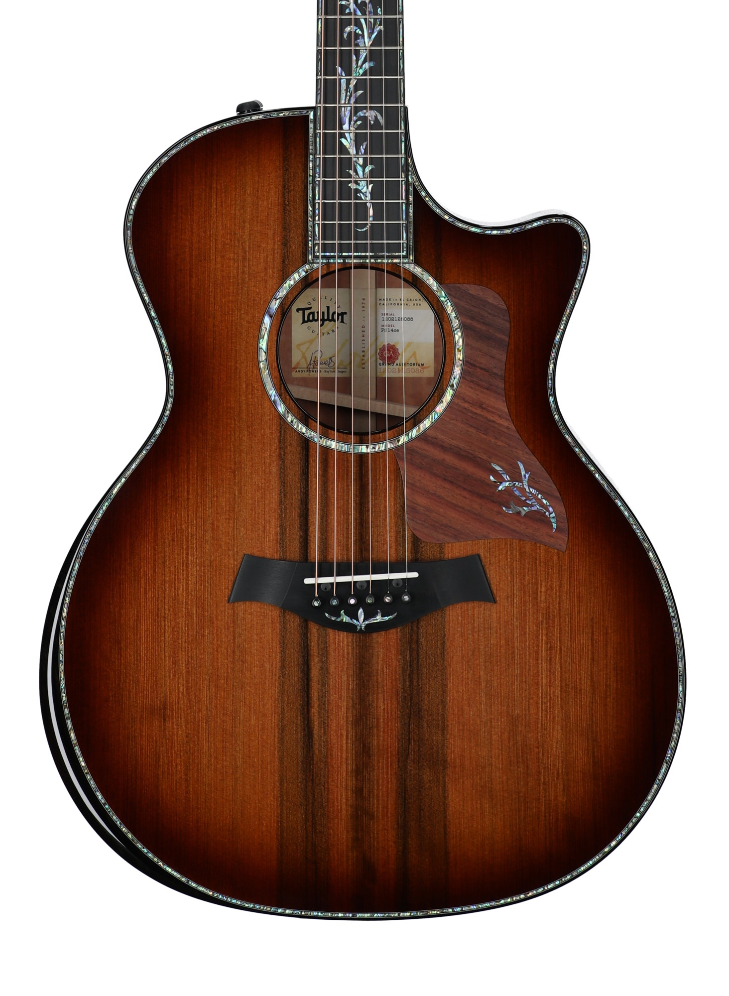 Taylor PS14ce Urban Ironbark Grand Auditorium Acoustic Electric Guitar with Case Shaded Edge Burst View 2