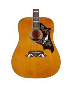 Epiphone IGC 1963 Dove RI A/E Natural W/C View 2