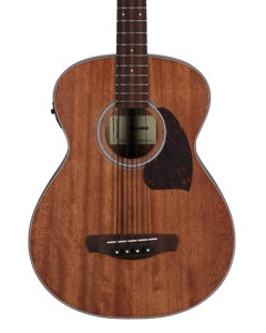 Ibanez PCB54E Acoustic Electric Bass Guitar Open Pore Natural View 2