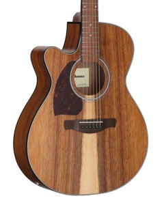 Ibanez PC50WSLCE Acoustic Electric Guitar Open Pore Brown View 8