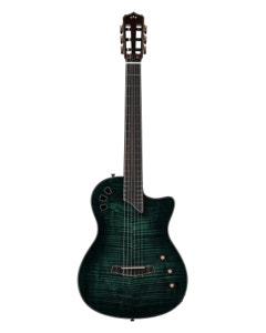 Cordoba Stage Artist Nylon Acoustic Electric Guitar with Case Agave Burst