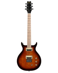 Washburn R5 Raven Electric Guitar Tobacco Sunburst