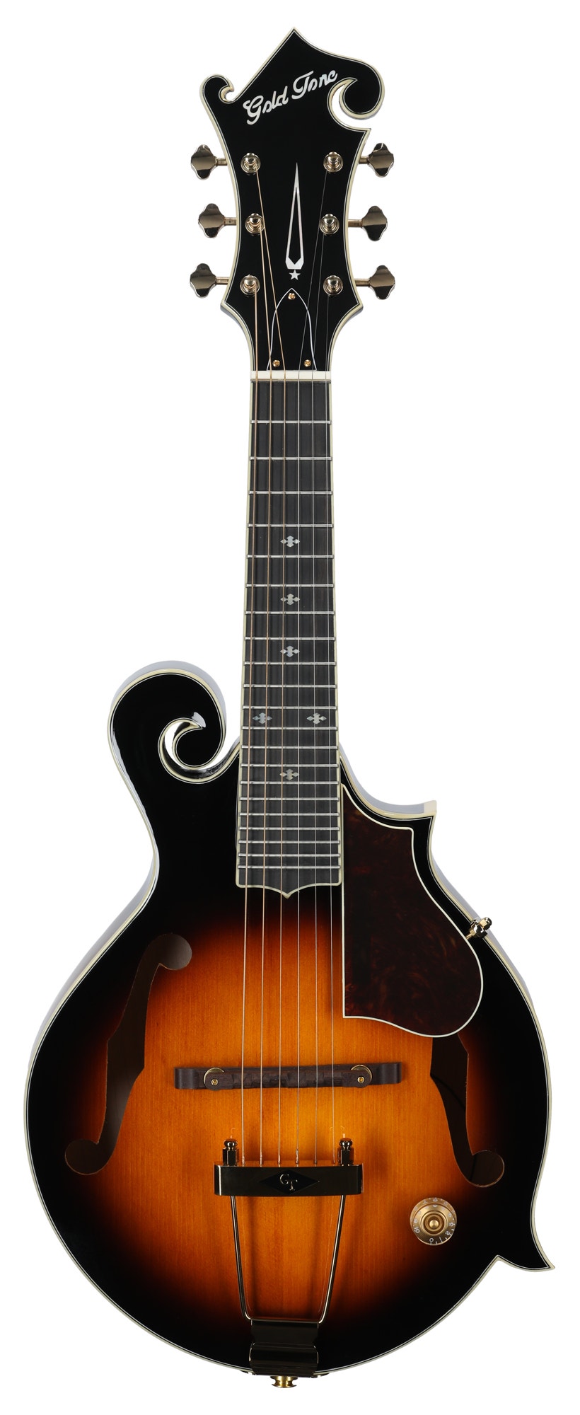 Gold Tone F-6 Plus F-style Mando-Guitar with Pickup