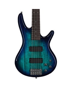 Ibanez Gio GSR205 5-String Bass Guitar Blue Moon Burst