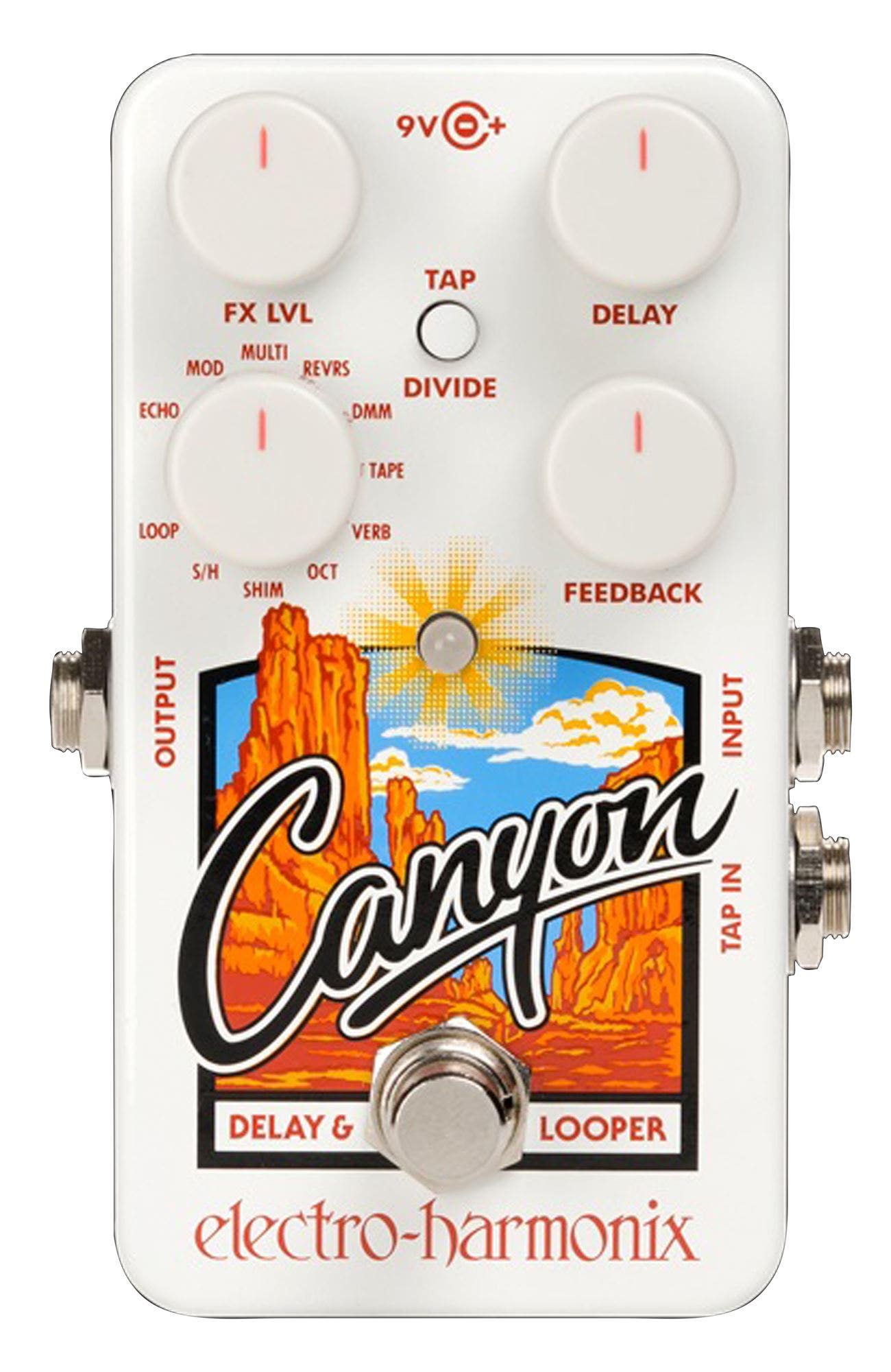 Electro Harmonix Canyon Delay and Looper