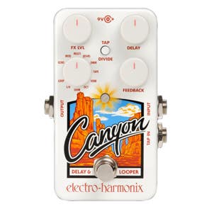 Electro Harmonix Canyon Delay and Looper