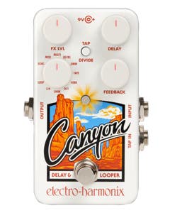 Electro Harmonix Canyon Delay and Looper