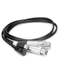 Hosa CYX402F 1/8 Inch TRS to Dual XLR Female Cable