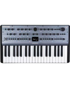 Modal Electronics Argon 8 37-Key 8-Voice Polyphonic Synthesizer