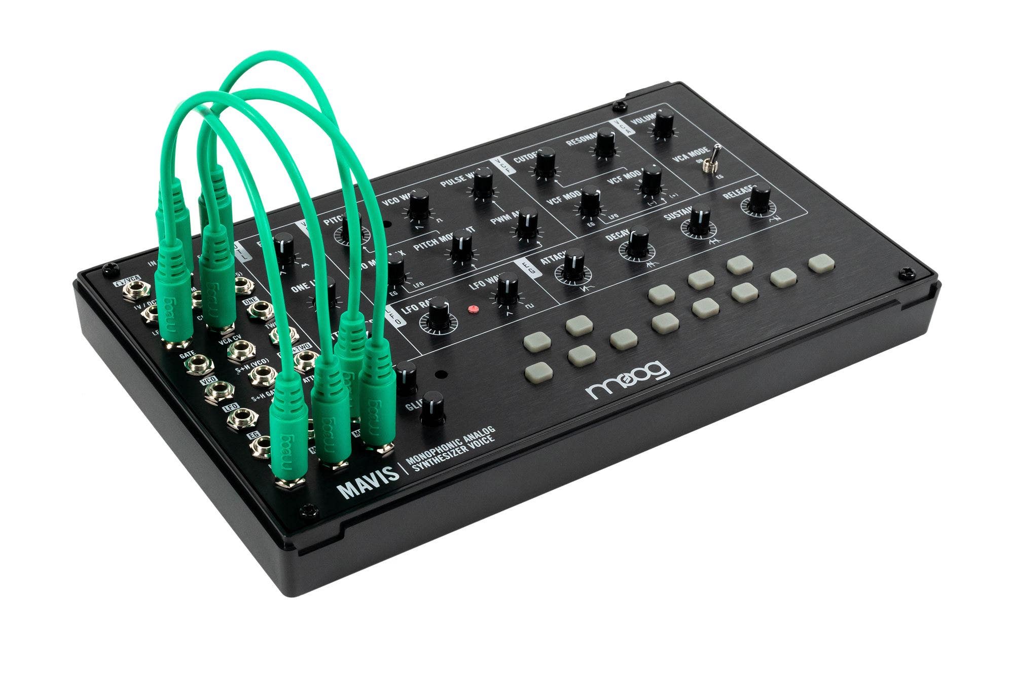 Moog Mavis Desktop Analog Synthesizer